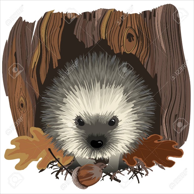 Hedgehog near a hole in a tree stump, with acorn and oak leaves. - 147369191